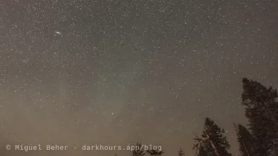 The Andromeda Galaxy above the treetops on Mt Ashland, Oregon