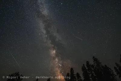 Two Perseid meteors beside the Milky Way, framed by fir trees on Mt Ashland, Oregon