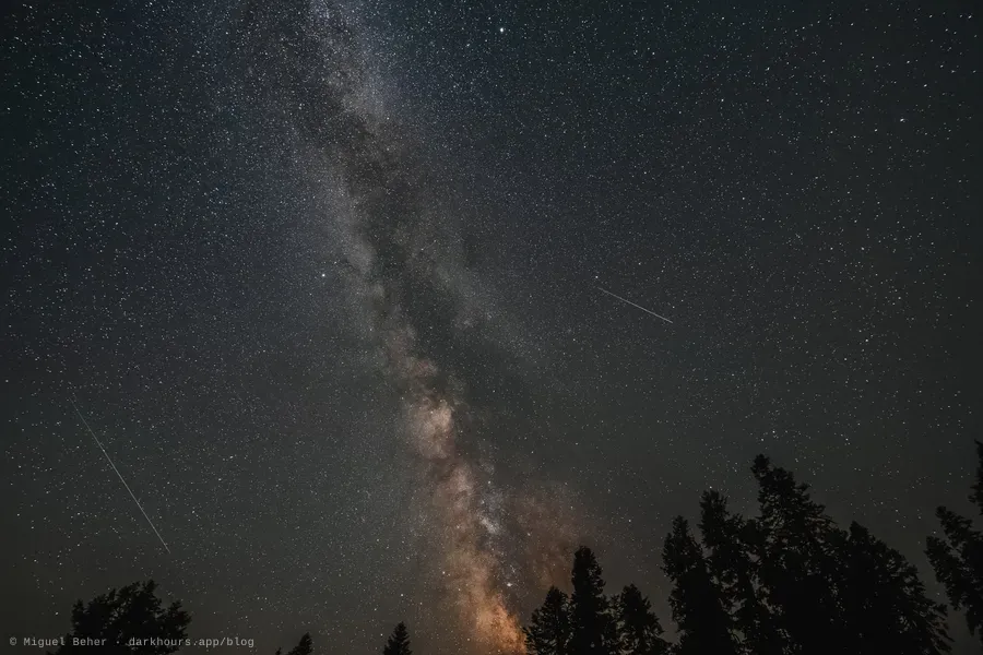 Two Perseid meteors beside the Milky Way, framed by fir trees on Mt. Ashland, Oregon