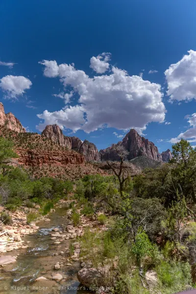 The Virgin River and canyon walls, Zion National Park